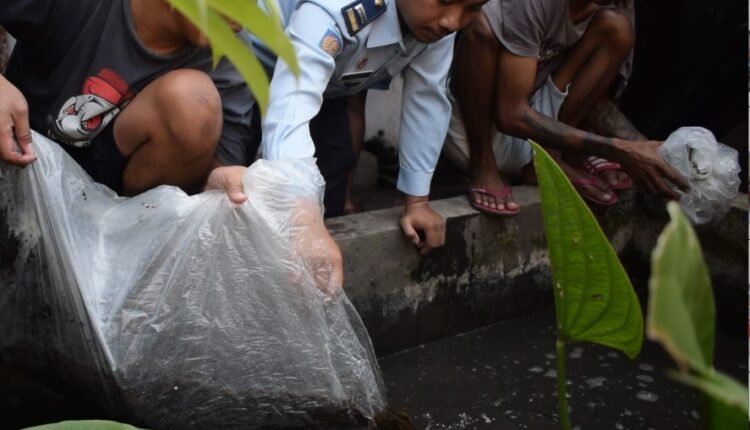 Lapas Kelas I Malang Miliki Bimbingan Kerja Budidaya Belut
