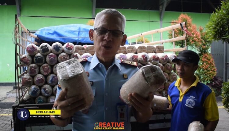Pengusaha Jamur Order 2500 Baglog Karya WBP Lapas Kelas I Malang